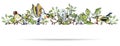 Floral horizontal border shadow with apple tree flowers and european goldfinch bird. Ornament of blossom flourishes and