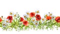 Floral horizontal border. Watercolor meadow flowers, grass, herbs. Seamless frame Royalty Free Stock Photo