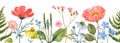 Floral horizontal frame made of watercolor hand-painted wildflowers, plants, and herbs. Botanical border Royalty Free Stock Photo