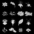 Floral Icon Set Series Design Elements
