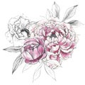 Floral illustration. Botanic composition for wedding or greeting card. branch of flowers - abstraction peonies.