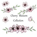 Floral illustration with sakura or cherry blossom flowers, ink and pencil drawing of cherry blossom flowers, sakura floral