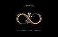 Floral infinity logo, floral infinite symbolic, floral infinity design, elegance infinity gold and silver with minimal floral