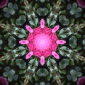 Floral kaleidoscope background