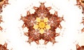 Floral kaleidoscopic design in pink, peach, beige and gold SERIES, pattern for manufacturing of packaging, scrapbooking, gift