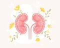 Floral kidneys vector illustration in flat cartoon style. Healthy human kidney with flowers and leaves Royalty Free Stock Photo