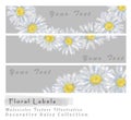 Floral Label Collection Decorated with Daisy Wreath. Royalty Free Stock Photo