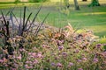 Floral landscaping design in city park. Blossoming colorful flowers, planted trees and lawn in summer. Modern mixed