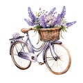 Floral_Lavender_Watercolor_Background12 Royalty Free Stock Photo