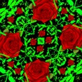 Seamless Beautiful Red Rose and Green Leaf Patterns Royalty Free Stock Photo