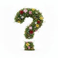 Floral leafy green question mark on white background Royalty Free Stock Photo