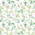 Beautiful watercolor floral seamless pattern Royalty Free Stock Photo