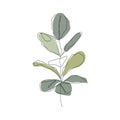 Floral and leaves icon Line art vector.