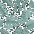 Floral leaves seamless pattern. Foliage garden background. Floral ornamenal tropical nature summer palm leaves decorative retro