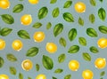 Floral lemons leaves volumetric pastel tones