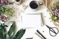 Floral lifestyle, stationery scene. Mums, matthiola flowers, aralia leaf, cup of coffee and vintage scissors on white Royalty Free Stock Photo