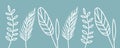 Floral blue gradient wallpaper with ears of wheat and leaves