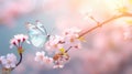 floral light spring background