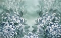 Floral light turquoise background.. Flowers chrysanthemum petals close-up. Royalty Free Stock Photo