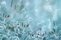 Floral light turquoise beautiful background. Flower composition of turquoise-white flowers Lilies.