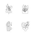 Floral line set. Hand drawn line leaves and flowers in letter and underpants, cup and patch, modern outline spring summer season Royalty Free Stock Photo