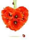 Floral love card (poppy heart)