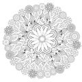 Floral mandalaa stylized circular ornament. floral mandala. black-and-white drawing. coloring book for children and