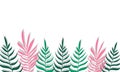 Plants minimalist vector banner. Hand drawn floral, grass, branches, leaves on a white background. Green simple Royalty Free Stock Photo