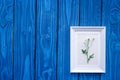 Floral Modern Design With Frame On Blue Wooden Desk Top View Mock Up