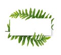 Floral modern vector card design: green Polypodiophyta fern frond leaves elegant greenery, forest wreath frame border print. Royalty Free Stock Photo