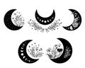 Floral moon clipart. Moon phase flowers set. Black moon elements. Celestial crescent isolated logo. Hand drawing