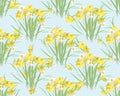 Floral narcissus retro vintage background