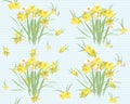 Floral narcissus retro vintage background