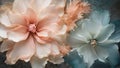 Floral nature flora bloom flower blossom yellow closeup pastel rose macro pink petal beauty