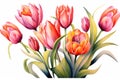 Floral nature plant blossom background red tulip illustration bouquet spring flowers Royalty Free Stock Photo