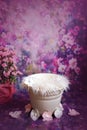 Floral newborn digital background on violet. Composite for baby photography Royalty Free Stock Photo