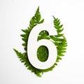 Floral number six. Beautiful green leaves and fern foliage numbers.