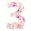 Pink Blossom Number 3 Watercolor Botanical Design. Watercolour Flower numbers three isolated on white background. Royalty Free Stock Photo