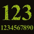 Floral numbers made with leaves, natural numerals set, vector de