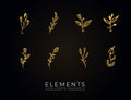 Hand drawn botanical golden elements collection