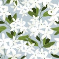 Floral ornament seamless pattern of beautiful jasmine flowers with leaves