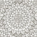 Floral ornament seamless pattern. Black and white round ornament texture