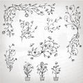 Floral ornament sketch, silhouette