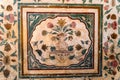 Floral ornament on wall in Amber Fort Royalty Free Stock Photo