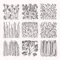 Botanical hand drawn textures, subtropical plants ornaments. Floral vector clipart collection isolatad on white