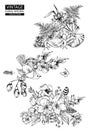 Floral outline coloring vector vintage collections