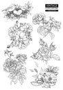 Floral outline coloring vector vintage collections