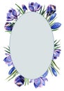 Floral oval frame. Decoration from bouquets of spring crocuses. Blooming spring flowers. Place for text. Hand drawn watercolor.