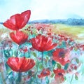 Floral painted poppy illustration on background. Ink and watercolor painting.