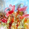 Floral painted poppy landscape with buds and blue sky illustration with background Ink and watercolor painting. Royalty Free Stock Photo